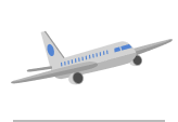 Flight Number